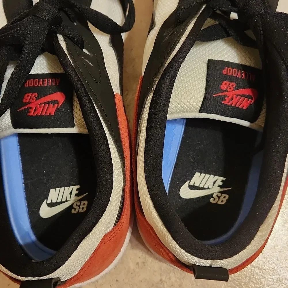 Nike Men's Alleyoop SB in 